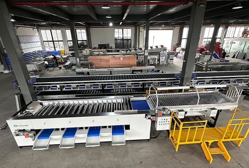 bell pepper sorting machine.jpg